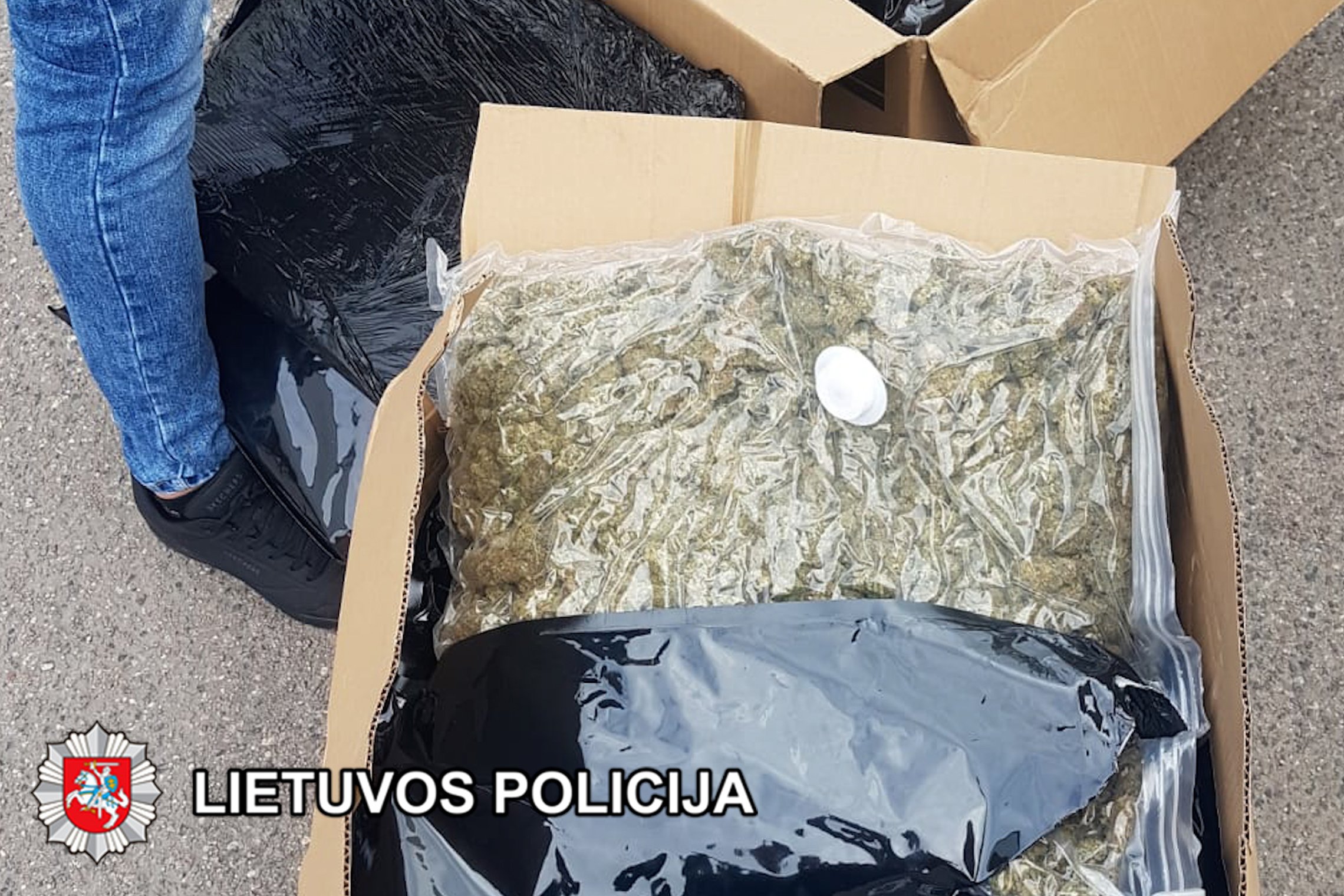 Iliustracija