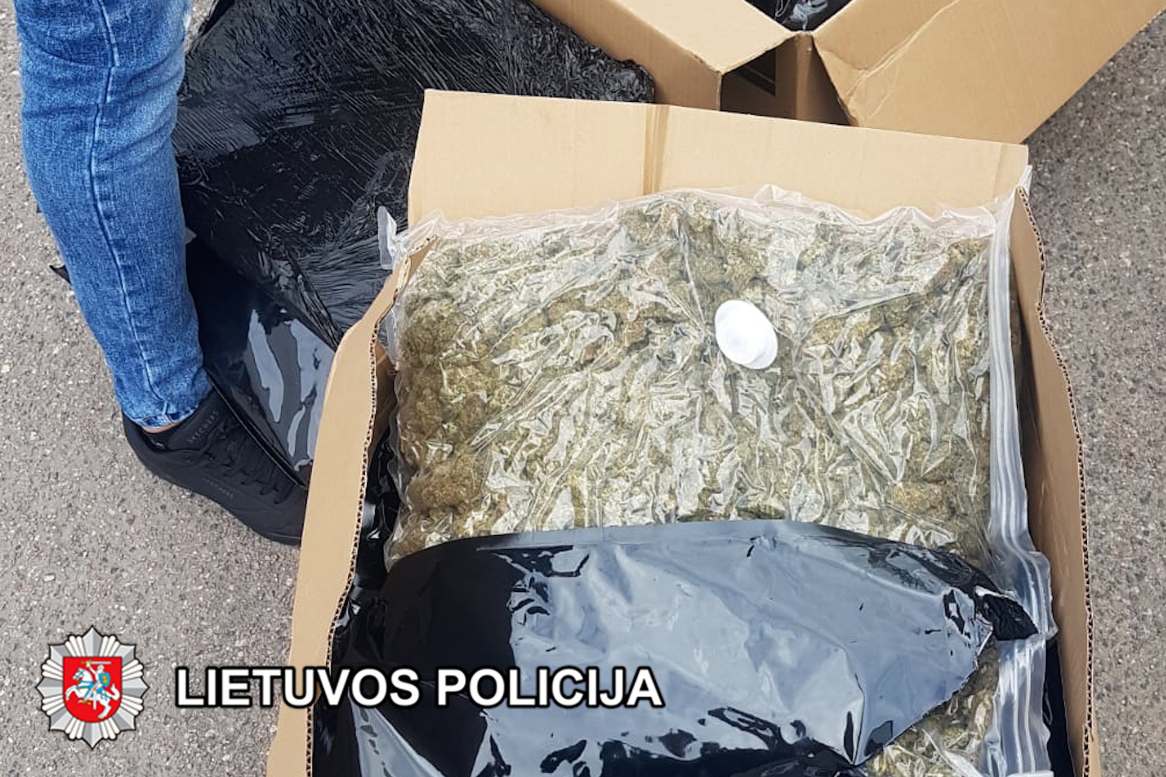 Iliustracija