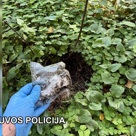 Iliustracija
