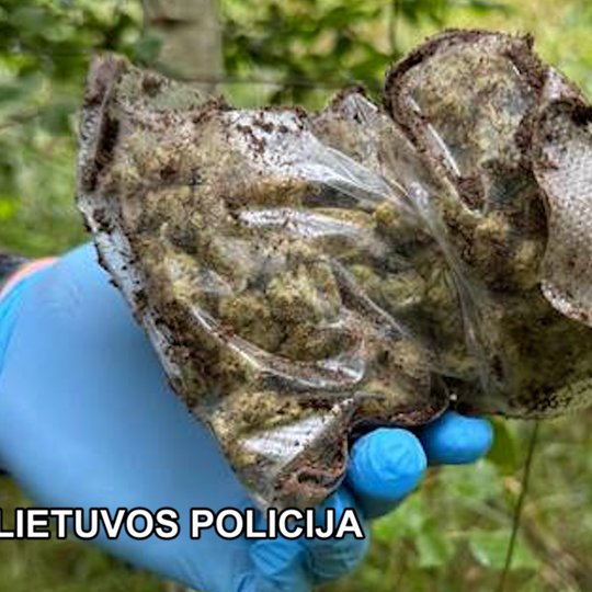 Iliustracija