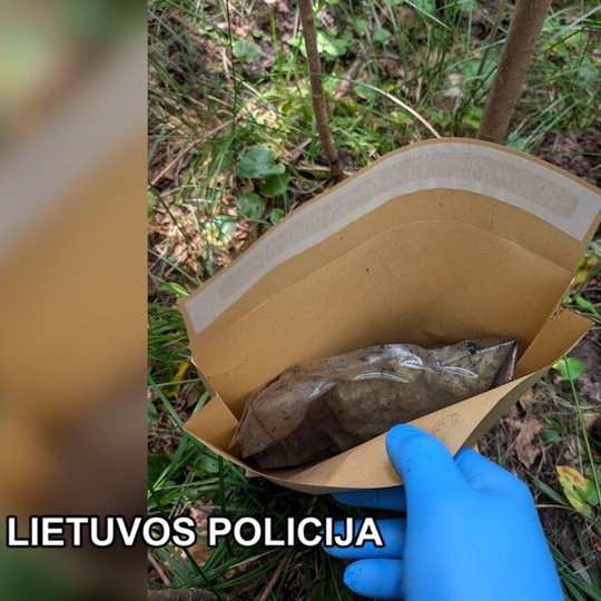 Iliustracija