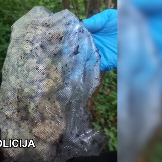 Iliustracija