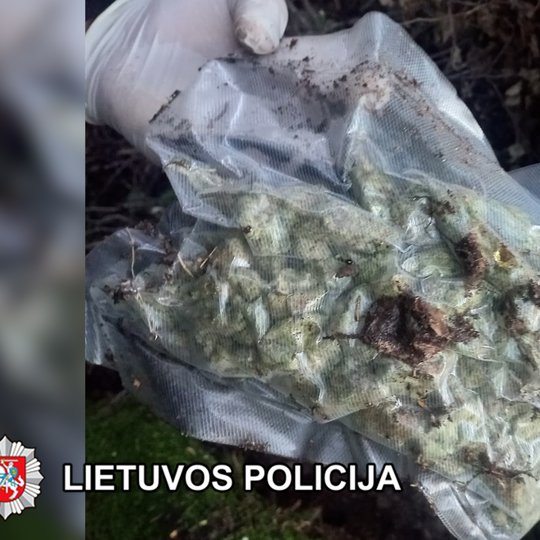 Iliustracija