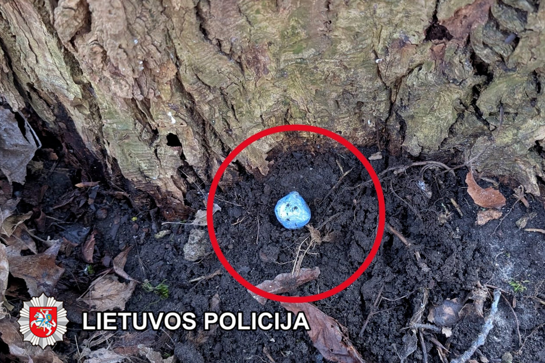 Iliustracija